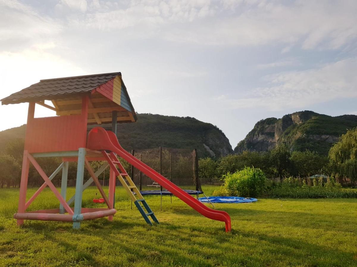 Villa La Bunicu à Polovragi Extérieur photo