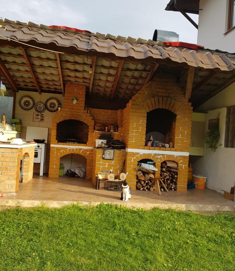Villa La Bunicu à Polovragi Extérieur photo