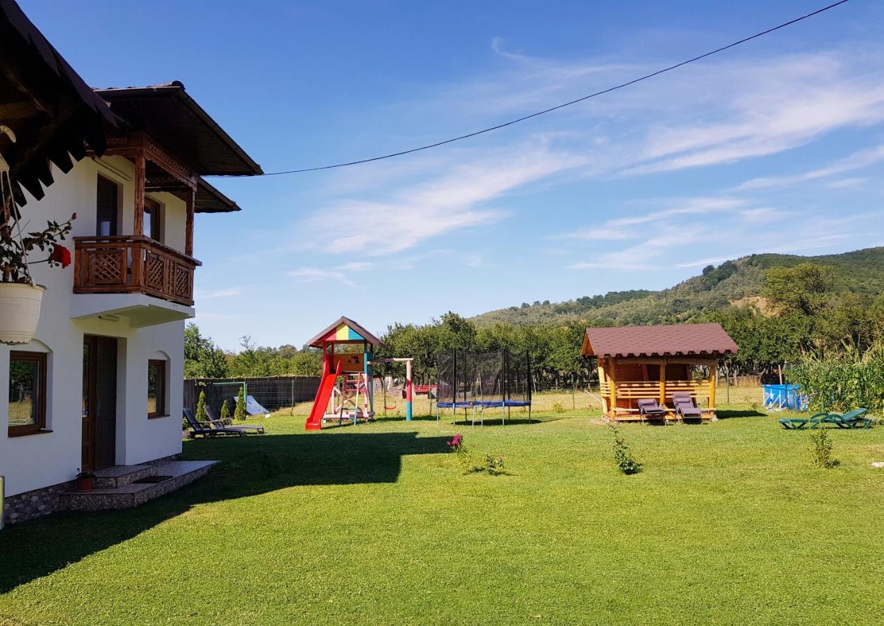 Villa La Bunicu à Polovragi Extérieur photo