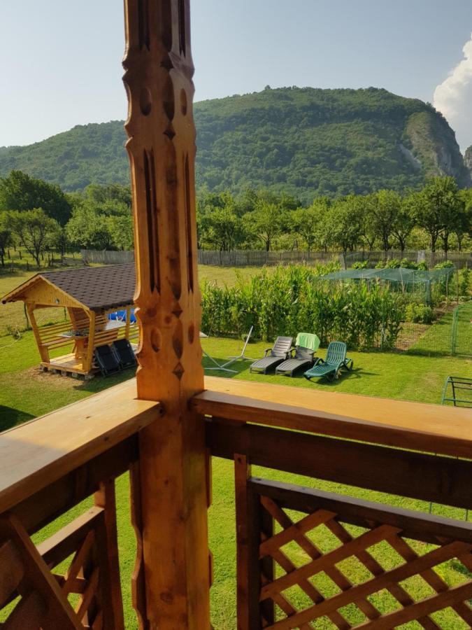 Villa La Bunicu à Polovragi Extérieur photo