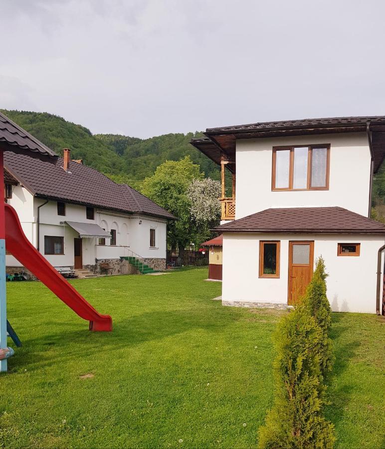 Villa La Bunicu à Polovragi Extérieur photo
