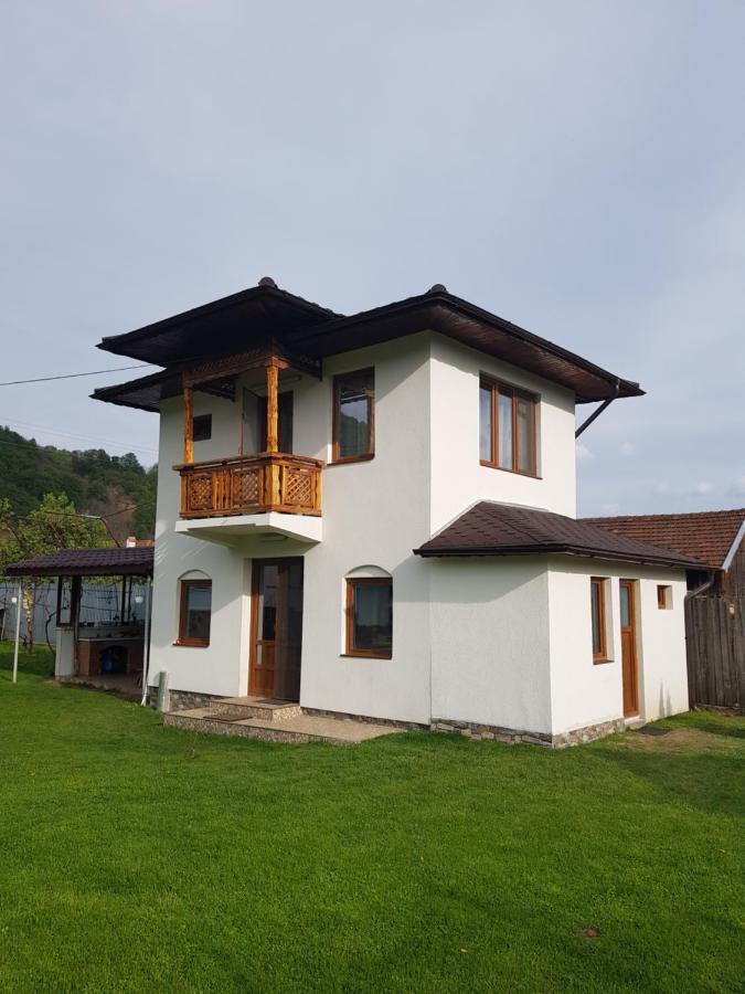 Villa La Bunicu à Polovragi Extérieur photo